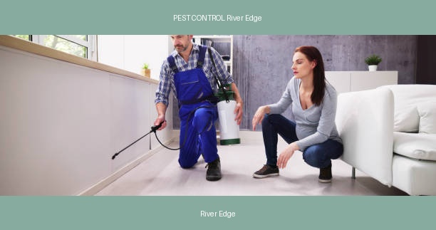 PEST CONTROL River Edge